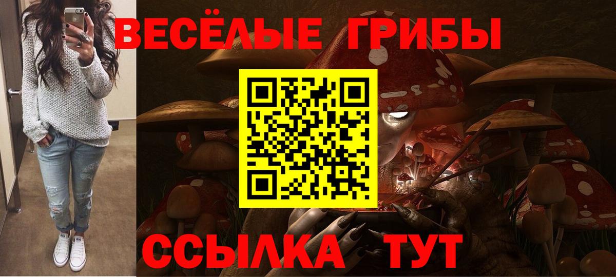 Псилоцибиновые грибы ЛСД Ярославль